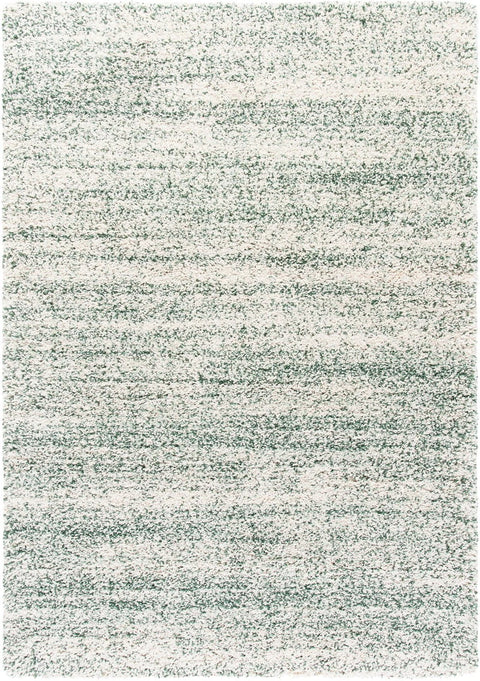 Denim Ivory, Green Ombre Collection Plush Shag Rug - Image 1