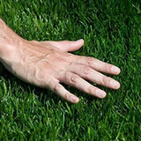 Artificial Grass Premium Artificial Grass - Image 9