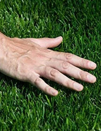 Artificial Grass Premium Artificial Grass - Image 9