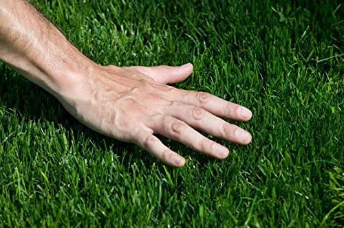 Artificial Grass Premium Artificial Grass - Image 9