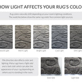 Florida Grey, Beige Plush Shag Rug Round Rug - Image 3