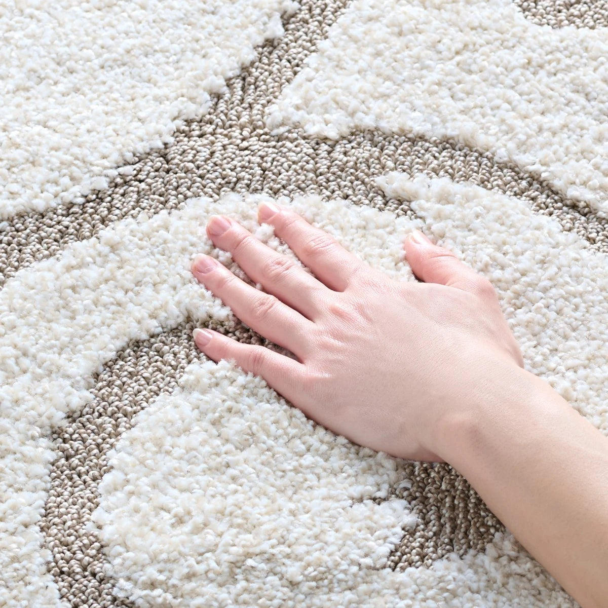 Florida Ivory, Beige Floral Plush Shag Rug - Image 6