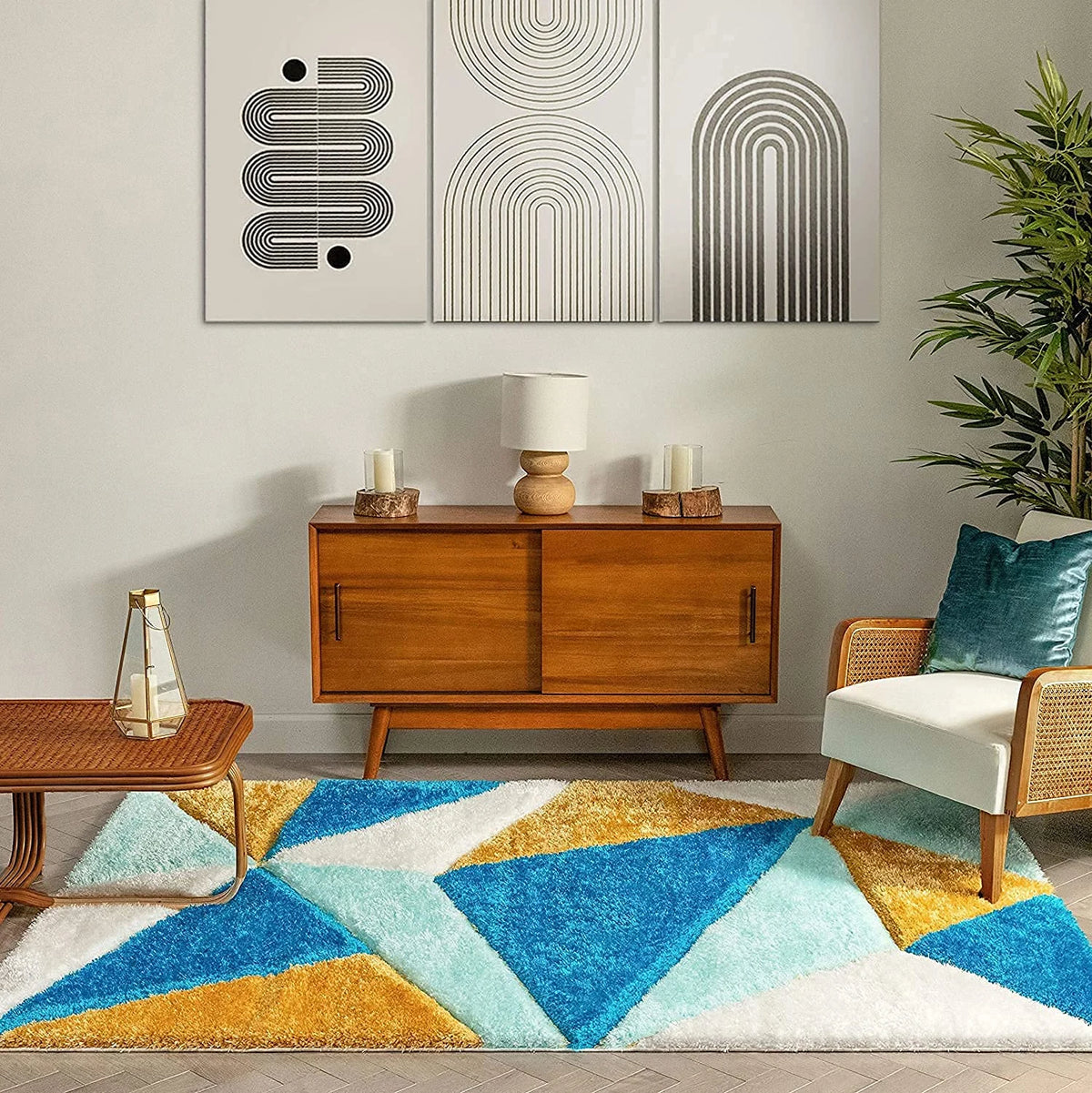 Monte D Plush Shag Rug - Image 4