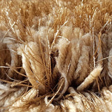 Mud Beige Solid Plush Shag Rug - Image 3