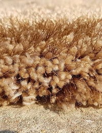 Mud Beige Solid Plush Shag Rug - Image 6