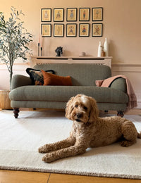 Natural Solid Hand-Tufted Wool Rug - Image 2