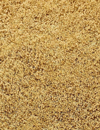 Ochre Solid Plush Shag Rug - Image 6