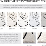 Oxford Ivory, Black Ripple Collection Plush Shag Rug - Image 6