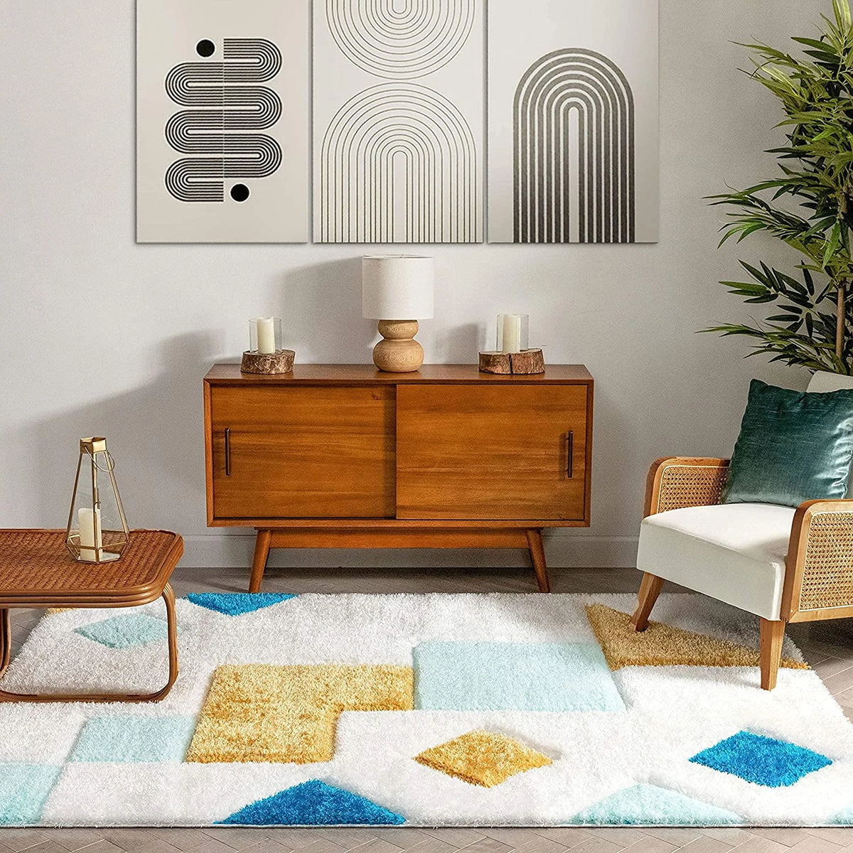 Playway D Plush Shag Rug - Image 4