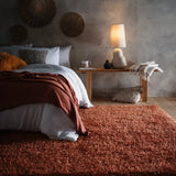 Rust Solid Plush Shag Rug - Image 1