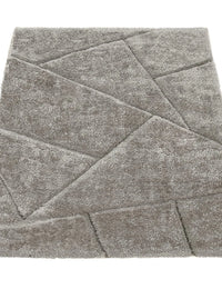 Silver D Plush Shag Rug - Image 3