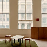 Solmaze Irregular Hand-Tufted Wool Rug - Image 5