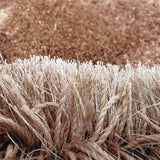 Sour Beige Ombre Collection Plush Shag Rug - Image 3